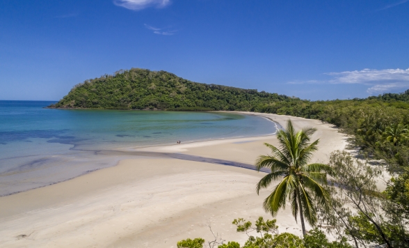 デインツリー熱帯雨林＆モスマン渓谷＆ケープトリビュレーション 観光ツアー